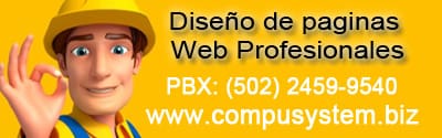 Diseño de Paginas Web Profesionales